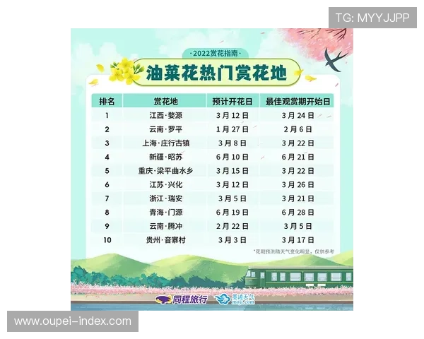 正反波胆的区别避坑指南泛体育平台对比防骗